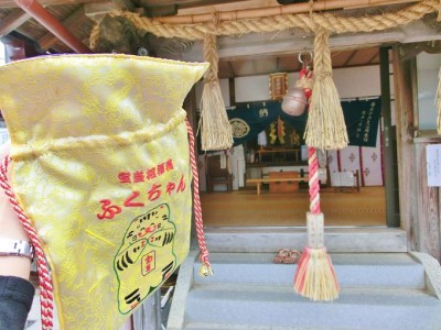 宝当神社（唐津・高島）にはジャンボ宝くじ当選を呼ぶリアル招き猫がいる | ORICON NEWS