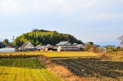 奈良明日香村小原の里6号サイズ-