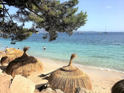 マヨルカ島の美しいビーチ フォルメントール海岸 へフェリーで行こう Oricon News