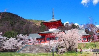風景画（長野市 善光寺）