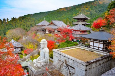 大石仏像のライトアップも！奈良・壷阪寺「大和観音 もみじ回廊」 | ORICON NEWS