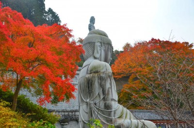 大石仏像のライトアップも！奈良・壷阪寺「大和観音 もみじ回廊」 | ORICON NEWS