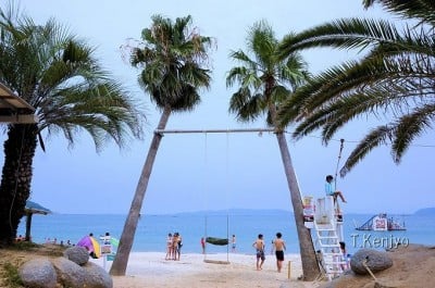 まるで南国の海 福岡 糸島 ヤシの木ブランコ はオシャレ写真スポット Oricon News