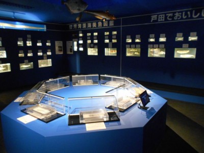 世界有数の深海魚を展示 沼津市戸田 駿河湾深海生物館 Oricon News