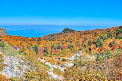 紅葉名所の絶景露天風呂 秋田八幡平 ふけの湯 は宿泊がおすすめ Oricon News