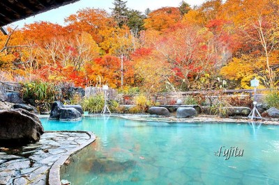 八幡平 松川渓谷の紅葉ベスト５ 玄武岩や 森の大橋 で紅葉狩り Oricon News