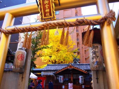 金運アップ！京都「御金神社」はイチョウが黄金色に色づく頃がスゴイ ...