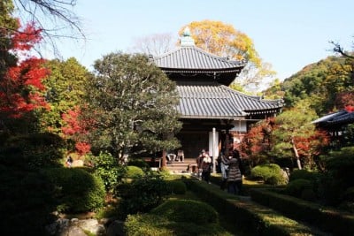 京都 安楽寺 の散紅葉で真っ赤に染まる石段が美しい 寺院内のカフェは春と秋限定オープン Oricon News