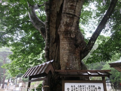 宮城「黄金山神社」は3年続けてお参りすれば一生お金に困らない