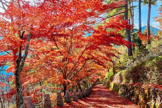 吉野 コレクション 山奥 千本