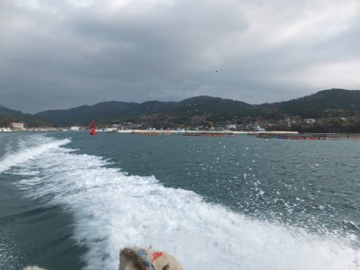 日本最古で最強の金運パワー！石巻沖の霊島・金華山「黄金山神社」 | ORICON NEWS