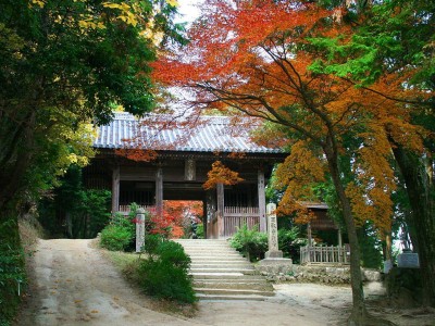 書写山円教寺で感じる姫路の秋 紅葉が彩る悠久の古刹へ Oricon News