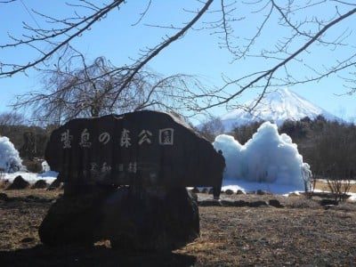 氷の祭典 山梨 西湖樹氷まつり Oricon News