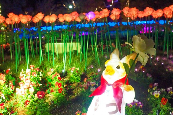 旅うさぎと光の国 大阪府立花の文化園 はなぶんサンクスイルミ Eltha エルザ 旅うさぎと光の国 大阪府立花の文化園 はなぶんサンクスイルミ Eltha エルザ