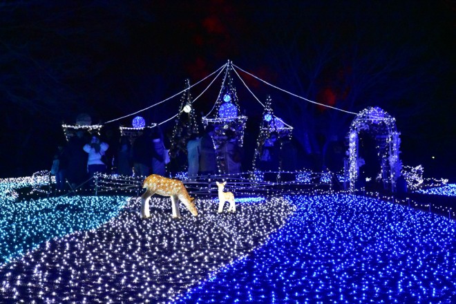 サムネイル 奈良公園を包む瑠璃色の光「しあわせ回廊なら瑠璃絵」に行こう！