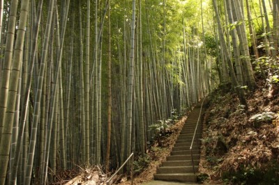 金運上昇！熊本県菊池市「神龍八大龍王神社」は宇宙最強のパワースポット | ORICON NEWS