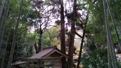 金運上昇！熊本県菊池市「神龍八大龍王神社」は宇宙最強のパワースポット | ORICON NEWS