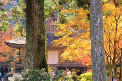 京都 最強パワースポット 京都 大原 三千院 観光で訪れる前に読んでおきたい最強ガイド Eltha エルザ
