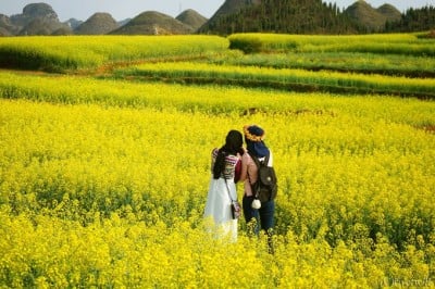 写真:かわい まゆみ