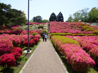 伊東市 小室山公園 つつじ祭りと伊豆随一の大パノラマが美しすぎる Oricon News