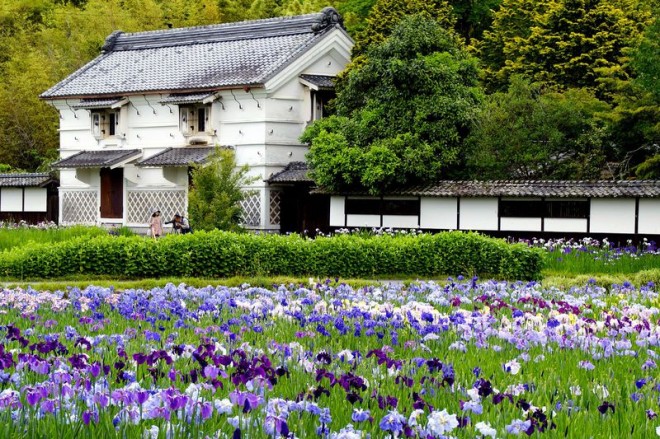 花と鳥と歴史ある庄屋屋敷で癒されよう 掛川市 加茂荘花鳥園 加茂花菖蒲園 Oricon News