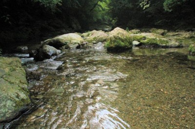 写真:沢木 慎太郎
