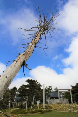 写真:沢木 慎太郎