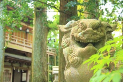 写真:沢木 慎太郎