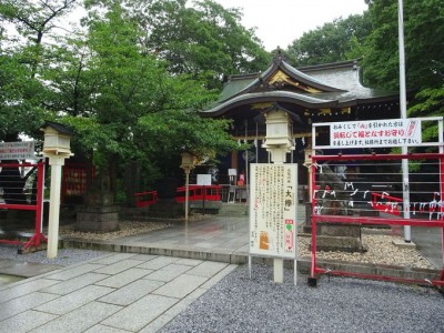 世界で唯一！横尾忠則の御朱印帳を埼玉・鎮守氷川神社でゲット