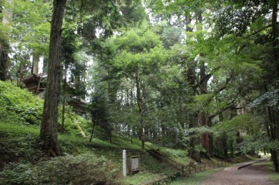 日本最古の神社で底知れぬパワーを！最強のパワースポット 熊本県山都