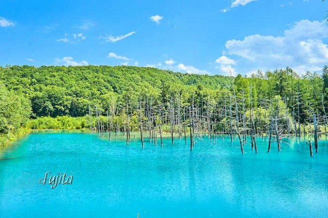 美瑛「青い池」おすすめ時間帯は午後一番！夏も紅葉も絶景 | ORICON NEWS