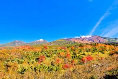 十勝岳望岳台で紅葉狩り 北海道 大雪山系の山々と紅葉がコラボ Oricon News