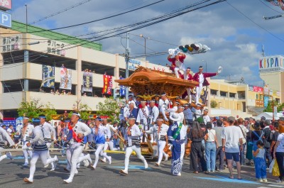 大阪・泉州路に秋の訪れを告げる！勇壮「岸和田だんじり祭」｜eltha