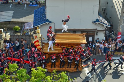 大阪・泉州路に秋の訪れを告げる！勇壮「岸和田だんじり祭」｜eltha