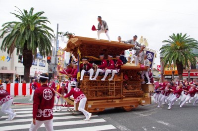 大阪・泉州路に秋の訪れを告げる！勇壮「岸和田だんじり祭」｜eltha