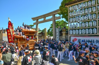 大阪・泉州路に秋の訪れを告げる！勇壮「岸和田だんじり祭」｜eltha