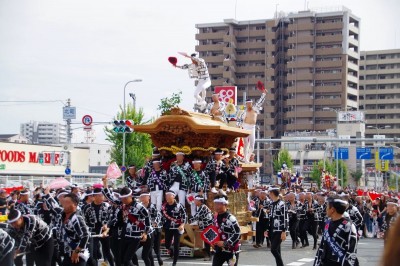 大阪・泉州路に秋の訪れを告げる！勇壮「岸和田だんじり祭」｜eltha