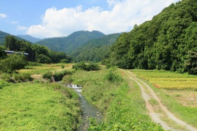 彼岸花の季節に行きたい 神奈川県 四十八瀬川 の里山風景 Oricon News