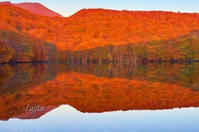 蔦沼で紅葉狩り 青森 朝焼けで真っ赤に染まる紅葉が絶景 Oricon News