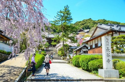 桜に牡丹に紅葉 奈良 花の御寺 長谷寺 で四季の風情を満喫 Eltha エルザ