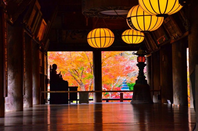 桜に牡丹に紅葉！奈良の花の御寺「長谷寺」で四季の風情を満喫 - ORICON NEWS