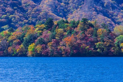八丁出島が圧巻 紅葉の日光 中禅寺湖を半月山展望台から堪能しよう Oricon News