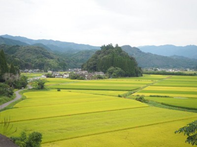 熊本版トトロの森 雨宮神社 夏目友人帳のモデル地が神秘的 Oricon News