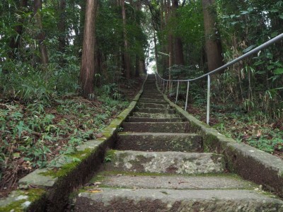 熊本版トトロの森 雨宮神社 夏目友人帳のモデル地が神秘的 Oricon News