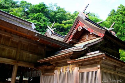 出雲　美保神社　商売繁盛　身体健康　金運上昇　出世　良縁　お守り　２つセット 出雲 美保神社 商売繁盛 身体健康 金運上昇 出世 良縁 お守り 2