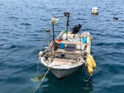 西伊豆・戸田漁港「係留船ちどり丸」で船酔い知らずの釣りを楽しもう！ | ORICON NEWS