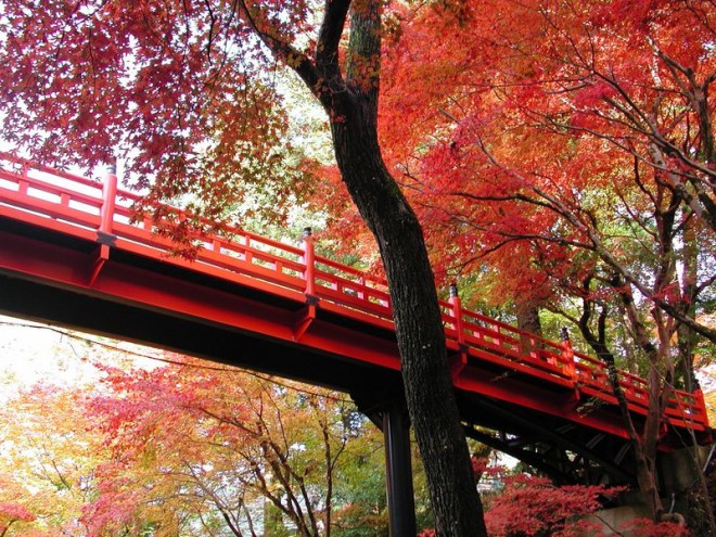 但馬有数の紅葉の名所！「養父神社」は御朱印帳もお守りもかわいい | ORICON NEWS