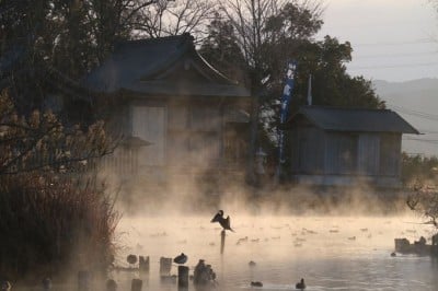 自転車お守りも！熊本「浮島神社」は清き湧水池の中のパワースポット | ORICON NEWS