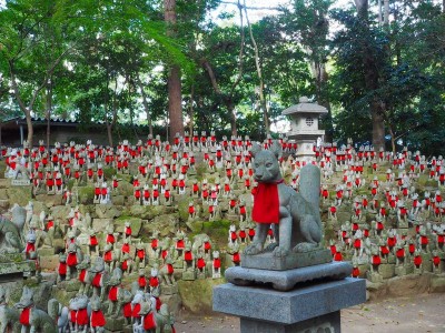 愛知豊川稲荷 きつね千体のパワースポット奥の院を歩こう Oricon News