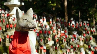 お狐様と大黒様で金運アップ!愛知県・豊川稲荷 | ORICON NEWS お狐様と大黒様で金運アップ!愛知県・豊川稲荷 | ORICON NEWS